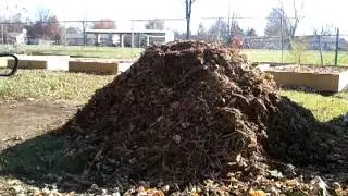 Raised Bed Garden: What I learned About Wood Chips