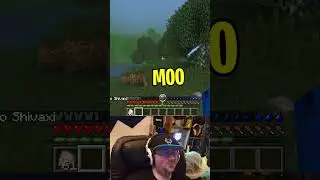 what I'm actually doing when I "work" on RLCraft v2.10