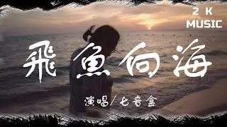 《飛魚向海》~【七音盒】 [高音質|動態歌詞Lyrics]♫《天空到大海得距離，就好像我們的關系》 [Pinyin-lyrics]🎵