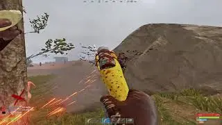 Hapis Snowball