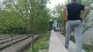 Bahor fasli  Весна ASMR