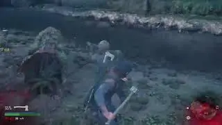 Days gone