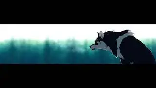 Anime wolves - Why We lose (70 subs special)
