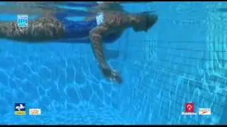 Módulo I - vídeo 2