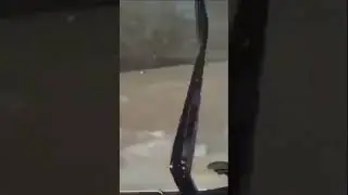 Плывём, а куда плывём ?