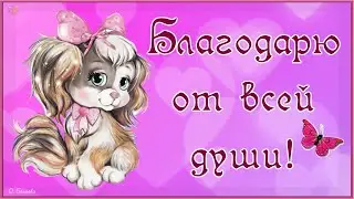🌹💮🌹БЛАГОДАРЮ ОТ ВСЕЙ ДУШИ! СЛОВА БЛАГОДАРНОСТИ.🌹💮🌹 Видео-открытка со словами благодарности.