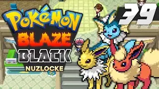 Pokémon Blaze Black Nuzlocke - Episode 39 | Rotation Training!