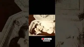 #shotrs_video История семьи Келлеров.