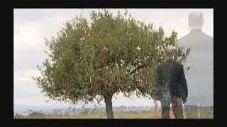 NUR İÇİNDE YAT ALİCAN KARDEŞİM,  MEKANIN CENNET OLSUN...