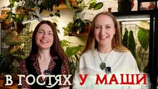 Visiting a Florist | Plant Review