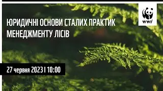 Юридичні основи сталих практик менеджменту лісів