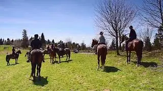 Konie na Potrójnej