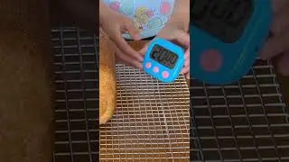 Why place the bread on a wire rack? #breadmaker #baking #hamiltonbeach