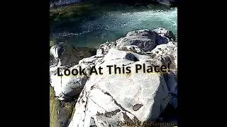 Look At This Place!