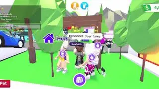 Opening Meh Cracked Egg *I wonder what it is?* (Bootiful House)