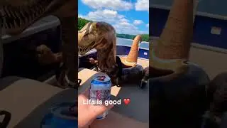 Welcome to Jurassic Park 🦖🦕