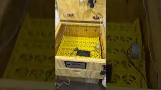 Chicken Egg Incubator Wiring Automatic Turning, Temperature & Humidity