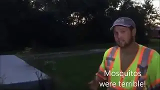 Catching Bats at St. Patrick's Park