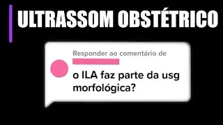 ILA faz parte do ultrassom morfológico?