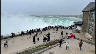 🔴 Niagara Falls Live - Walk to Magnolia Alley Blossoms