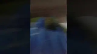 29 мая 2018 г.
