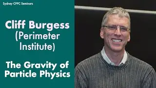 Cliff Burgess (Perimeter): The gravity of particle physics