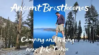 Oldest Trees in the world - camping and hiking up to Lake Tahoe