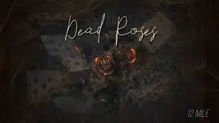 12 Mile - Dead Roses