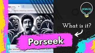 Porseek Extension Removal Guide