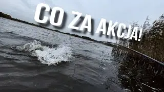 SZCZUPAKI z BRZEGU, SANDACZE z JEZIORA i OKONIE z ŁÓDKI z @FishingWithAce