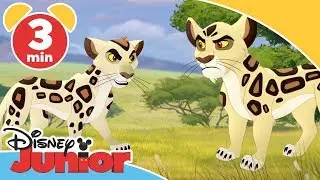 Lejonvakten | Leoparden Badili - Disney Junior Sverige