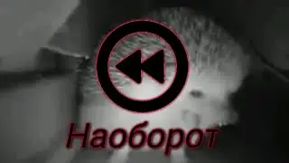 Ежик чихает, но наоборот