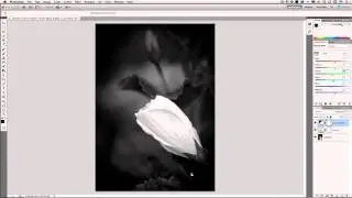 A Real World Camera Raw and Photoshop Workflow