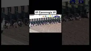 Loving the corgi races #Shorts #FYP #GoViral #DogLover