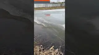 2 апреля 2024 г.