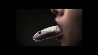 American horror story coven ''Snake'' (The house of rising sun)