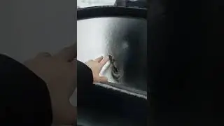 начало мая