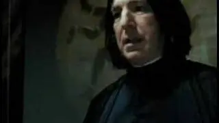 harry potter & south park featuring mr. hat and more more 6