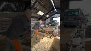 Milling some beautiful oak logs into planks to make furniture #furnituremaker #woodworking #chainsaw