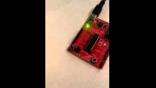 Blink Red and Green LED's Simultaneously