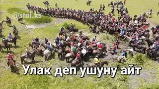 Кыргыз улак чапканда эчтеке тоскол боло албайт