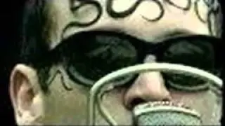 Populär - Méz és Méreg