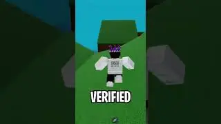 I Got Verified on Roblox