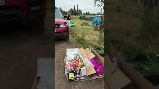 создание Фото зоны в Лаванде на Винодельне Молчановых.
