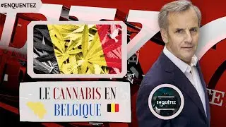 Enquête Exclusive 2021 || LE CANNABIS EN BELGIQUE - ENQUÊTE EXCLUSiVE
