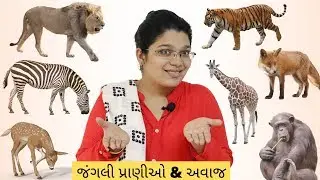 જંગલી પ્રાણીઓ ના નામ & અવાજ | Wild Animals Name And Sound | Jangli Pranio | Wild Animals | KidsTube