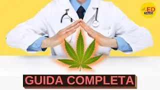 CANNABIS: MEDICO spiega tutto quello che hai sempre voluto sapere | Analisi letteratura scientifica