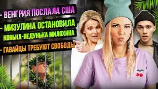 #МВШ