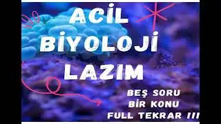 ACİL BİYOLOJİ LAZIM | BEŞ SORU FULL TEKRAR | GENDEN PROTEİNE | #yks2024