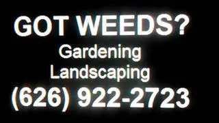 WEED CONTROL, Apple Valley, WEED ABATEMENT, Apple Valley, LANDSCAPING, Apple Valley, LAND CLEARED
